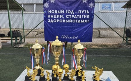 Праздничный новогодний турнир по футболу состоялся в городе Шопоков